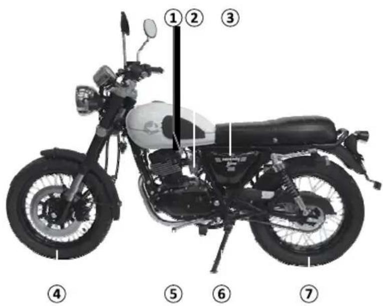 Mash Two Fifty 250cc (2014) - Côté gauche - 1