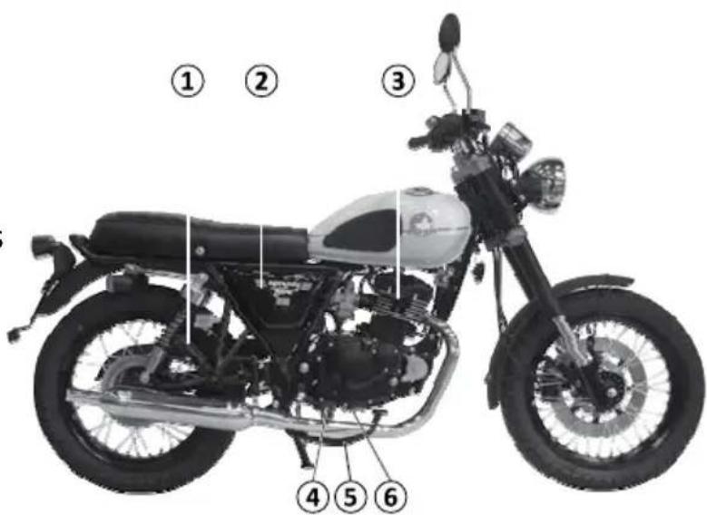 Mash Two Fifty 250cc (2014) - Côté droit - 1