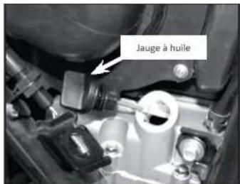 Mash Six Hundred 650cc (2022) - Vérification du niveau d'huile - 1