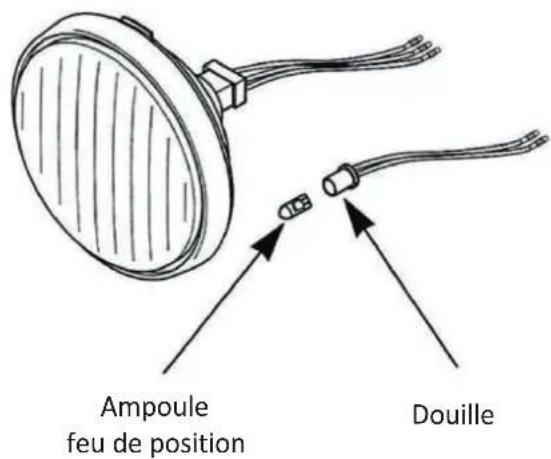 Mash Five Hundred 400cc (2019) - Ampoule feux de position - 2