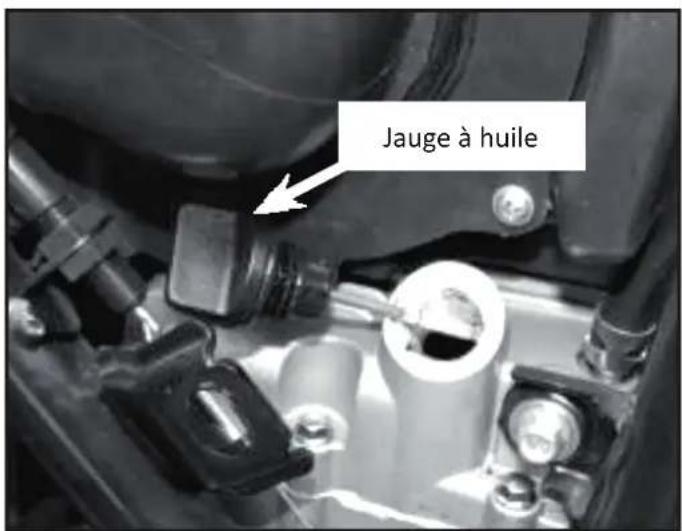 Mash Five Hundred 400cc (2019) - Vérification du niveau d'huile - 1
