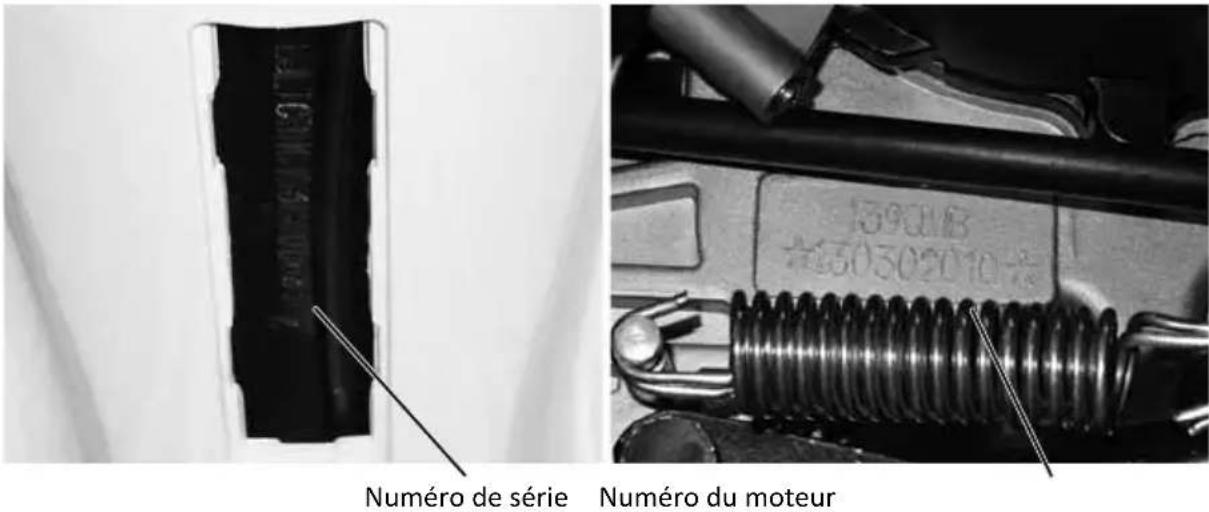 Mash Storia 125cc (2013) - Numéro d'identification du scooter - 1