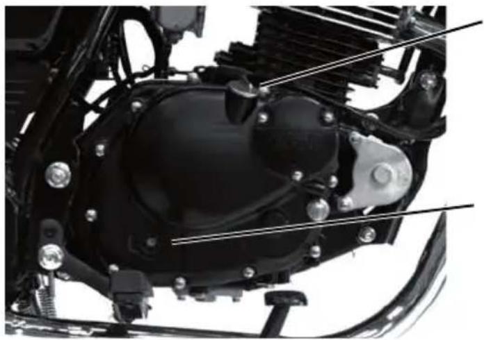 Mash Falcone 125cc (2020) - Vérification du niveau d'huile moteur - 1