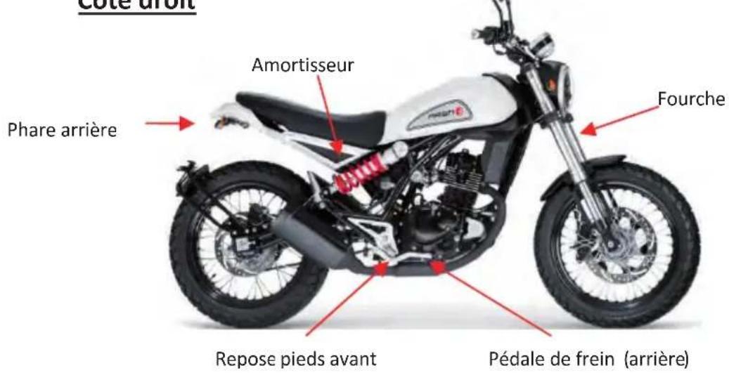 Mash Falcone 125cc (2020) - Identification des pieces - 3