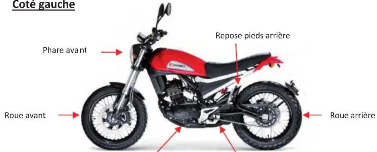Mash Falcone 125cc (2020) - Identification des pieces - 2
