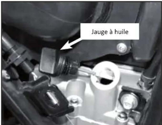Mash Five Hundred 400cc (2016) - Vérification du niveau d'huile - 1