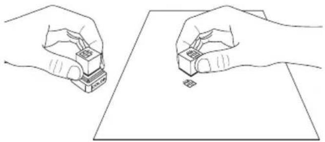 Crelando IAN 275317 - Mit Stempelkissen arbeiten - 2