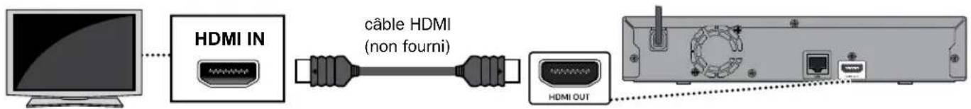 MAGNAVOX MBP6700P - ■ Connexion de l'appareil directement à un téléviseur - 1