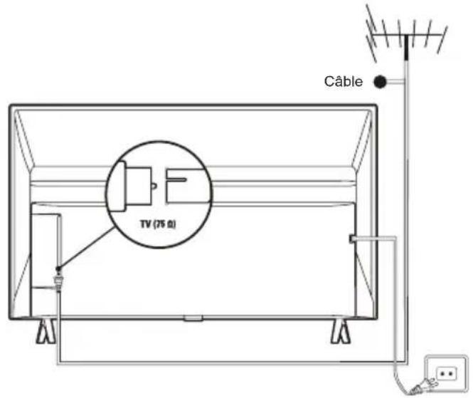TCL 40S5200 - Branchez l'alimentation et l'antenne - 1