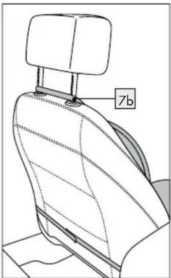 7b