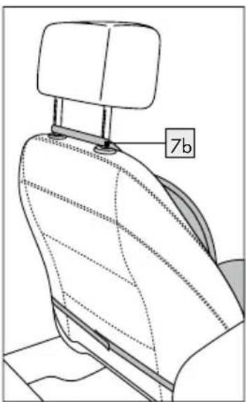 7b