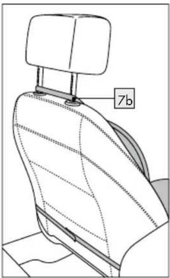 7b