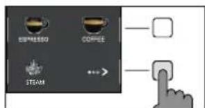 GAGGIA Magenta Plus RI8699 - Manual rinse cycle - 1