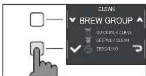 GAGGIA Magenta Prestige RI8702 - Nettoyage du groupe de distribution avec des tablettes pour l'élimination des résidus huileux du café - 2