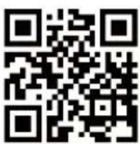 MEDION LIFE E66567 MD 43567 - Serviceinformationen - 1