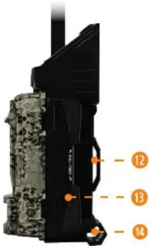 Spypoint LinkSDark - SI N - 2