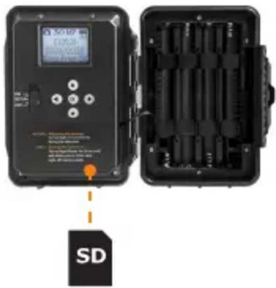 SD