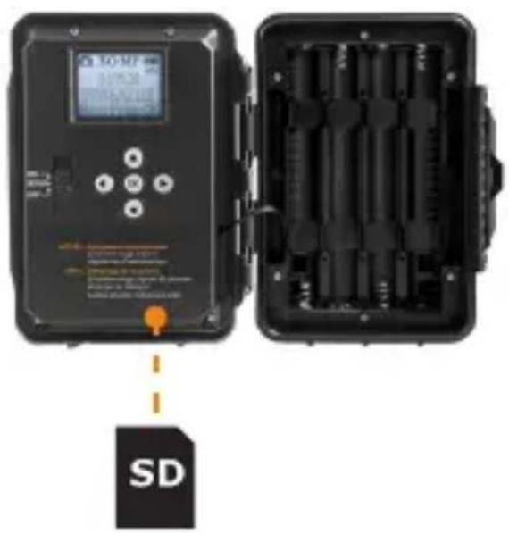 SD