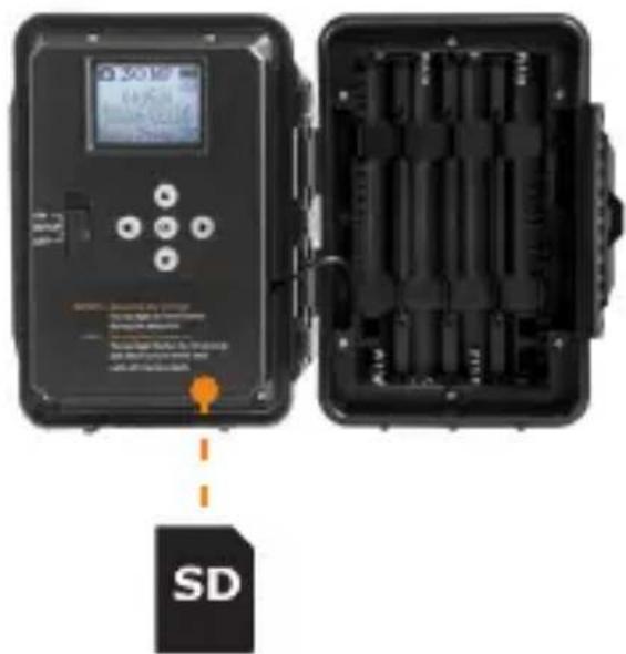 SD