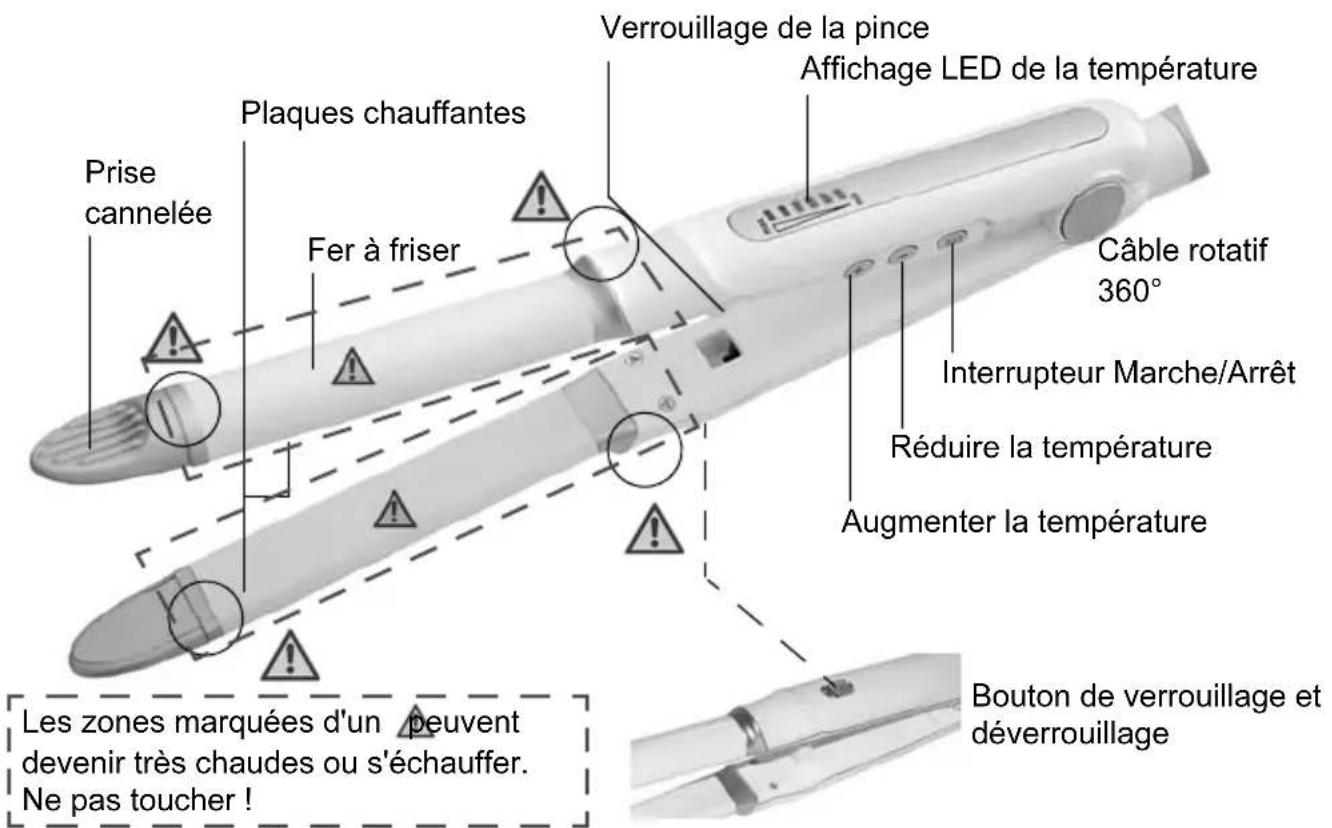 QUIGG GTSZcer01 - ■Vue d'ensemble - 1