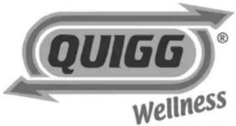 QUIGG GTMS01 - Fauteuil Wellness "Massage et détente" - 1