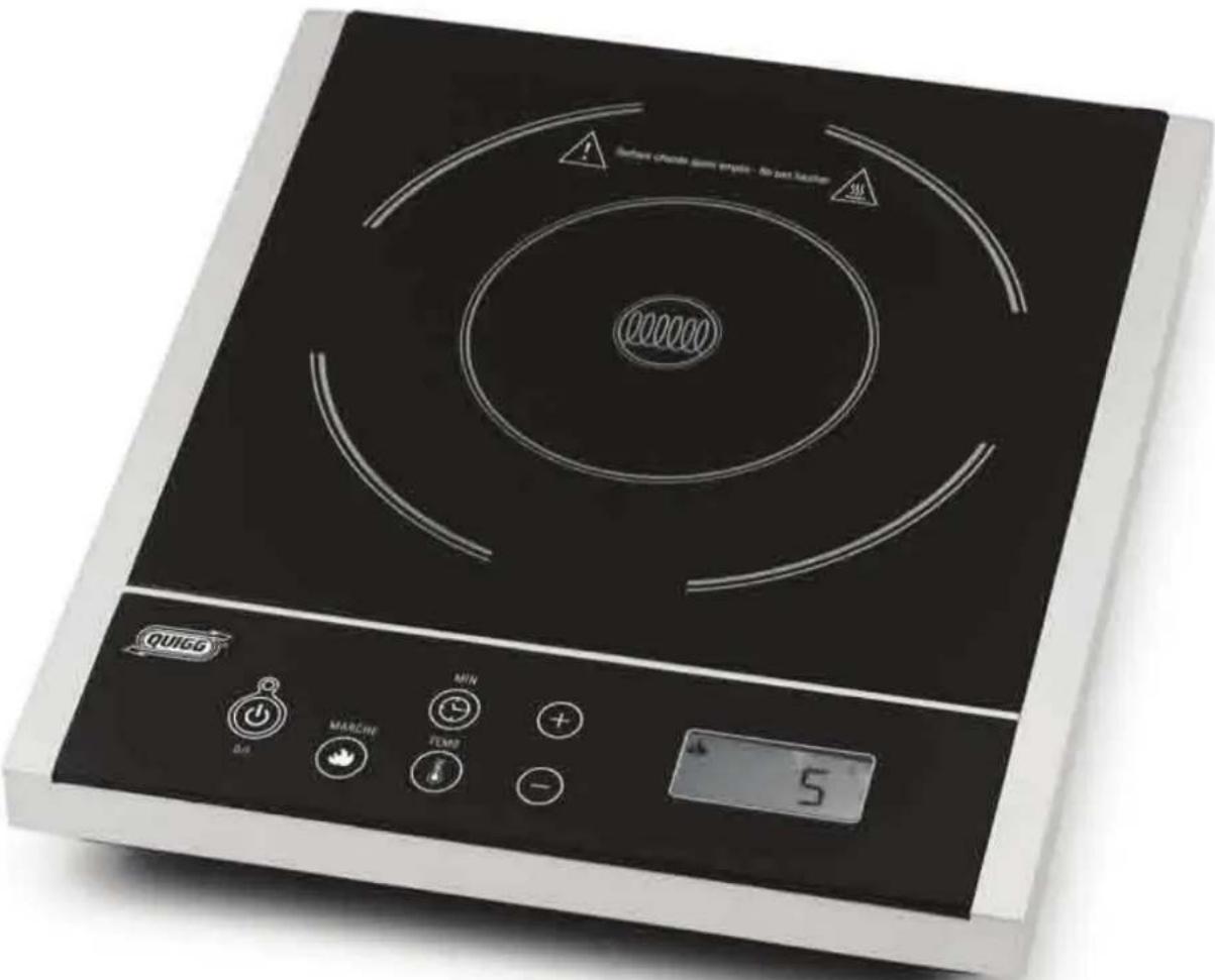 QUIGG GTICs01 - Plaque de cuisson à induction - 1