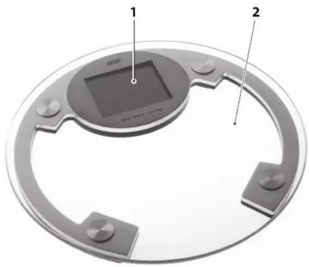 QUIGG GTBSxl01 - 1