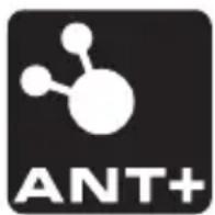 PIONEER SGYPM9100C - Specifiche e supporto - 1