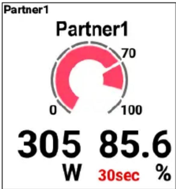 PIONEER SGXCA600 - Description de l'écran du partenaire - 1