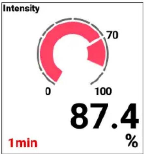 PIONEER SGXCA600 - Chrono entrain - 3