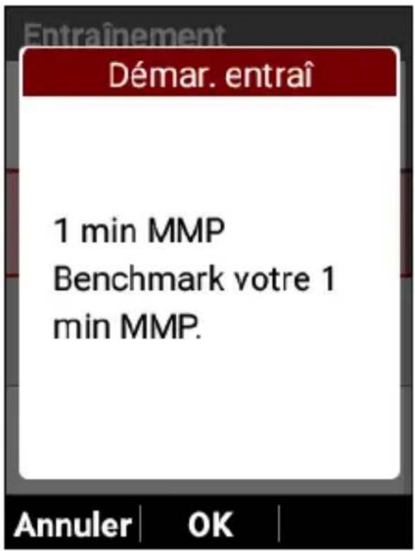 PIONEER SGXCA600 - Appuyez sur le bouton [Confirmer]. - 1