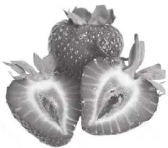 Ambiano GTTB01ch - Preparazione - 1