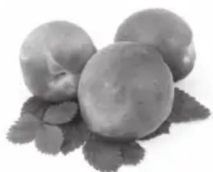 Ambiano GTTB01ch - Ingredient - 1