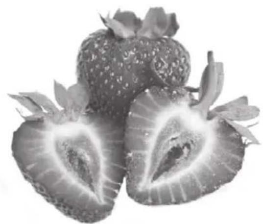 Ambiano GTTB01ch - Zubereitung - 1