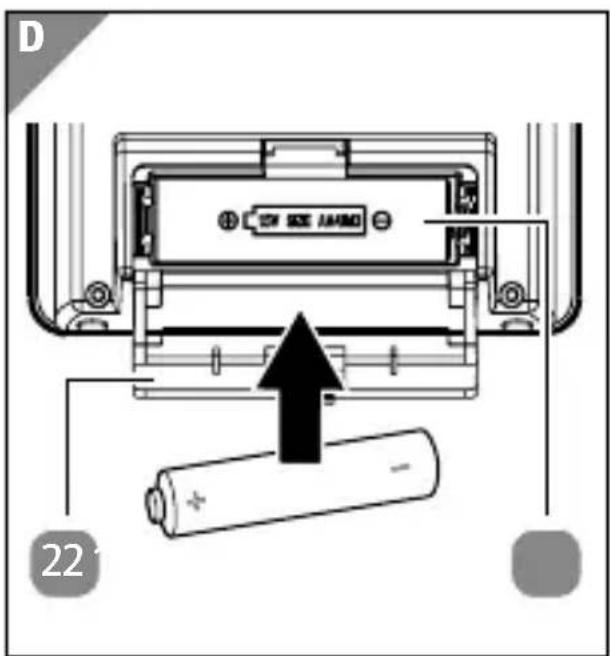 D 22