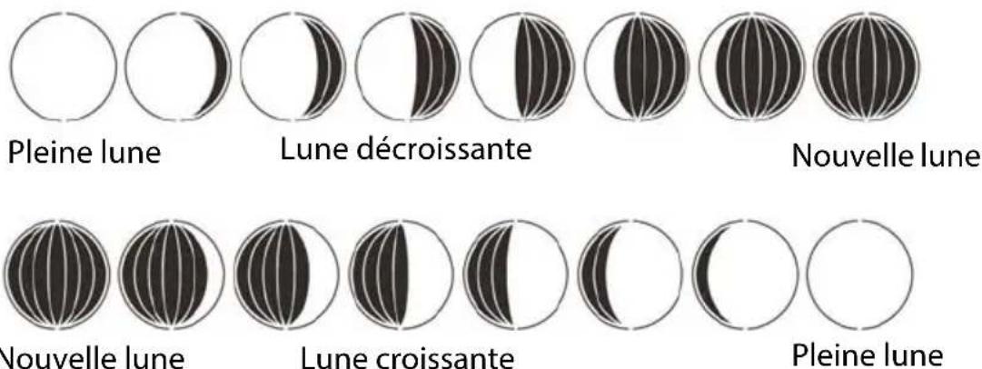 GlobalTronics GTWT02 - Phases de la lune - 1