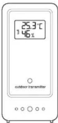 GlobalTronics GTWT02 - Icônes affichées sur l'écran Sonde sans fil - 2