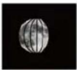GlobalTronics GTWT03 - Phases lunaires - 9