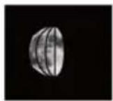 GlobalTronics GTWT03 - Phases lunaires - 10
