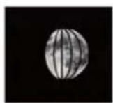 GlobalTronics GTWT03 - Phases lunaires - 6