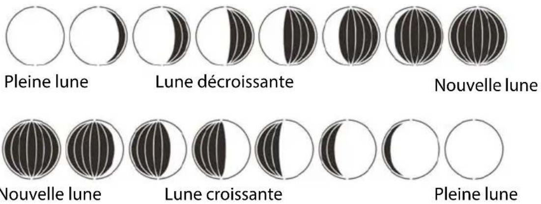 GlobalTronics GTWS15w - Phases de la lune - 1