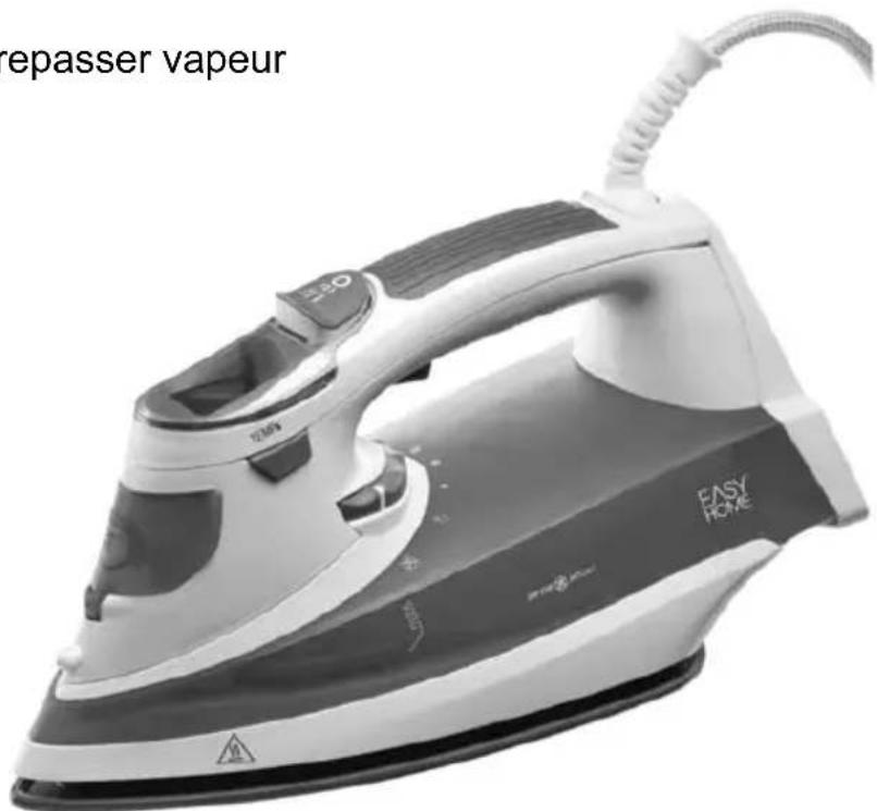 Easy Home GTSIlcd02ch - Fer à repasser confortable - 1