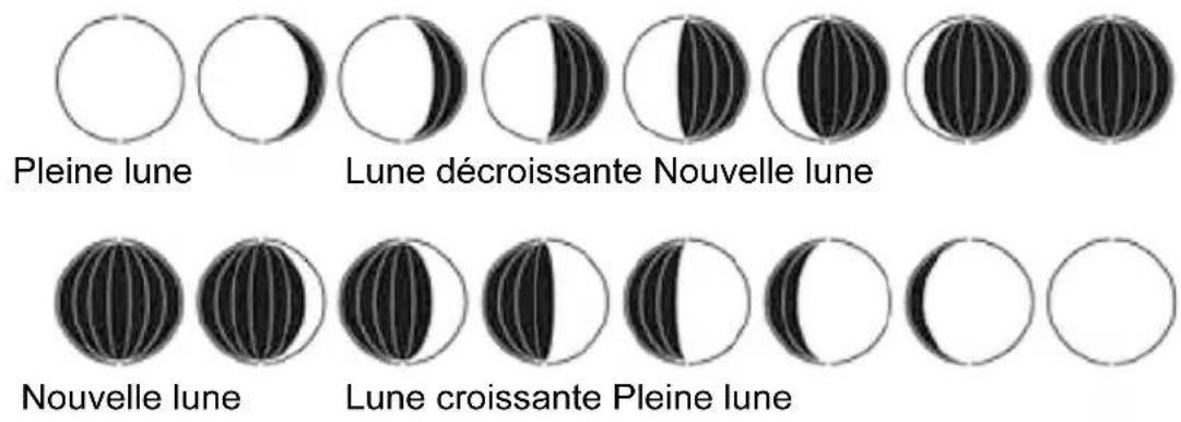 GlobalTronics GTWS06s - ■Phases de la lune - 1