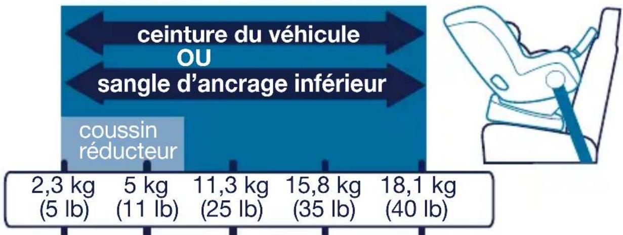 Nuna RAVA - Installation face à l'arrière recommandé jusqu'à 2 ans et plus 2,3-18,1 kg (5-40 lb) - 1