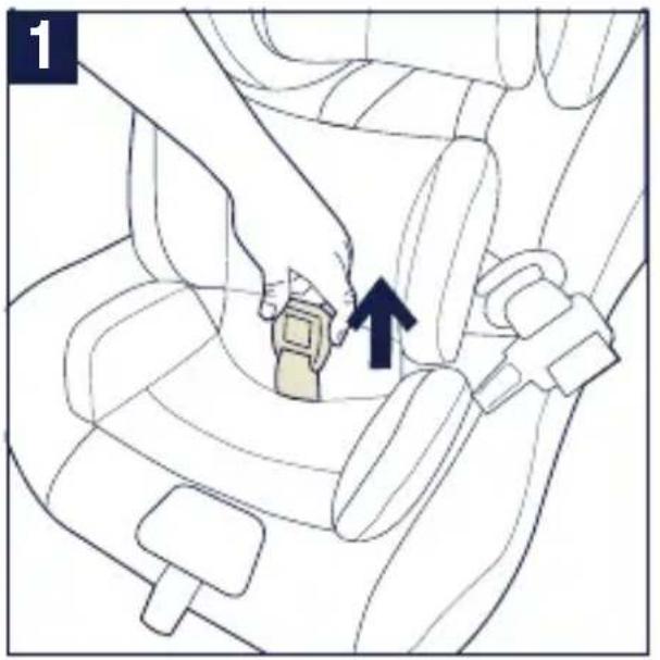 Nuna RAVA - To Install Infant Insert - 1