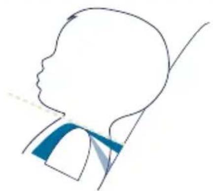 Nuna RAVA - Securing Child in Child Restraint - 2