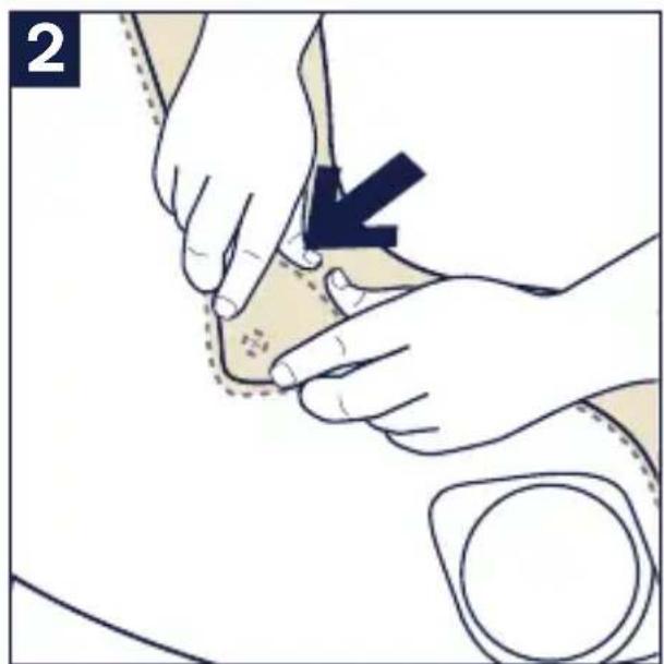 Nuna RAVA - Seat Cover Assembly - 3