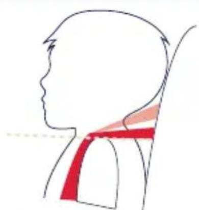 Nuna RAVA - Securing Child in Child Restraint - 3
