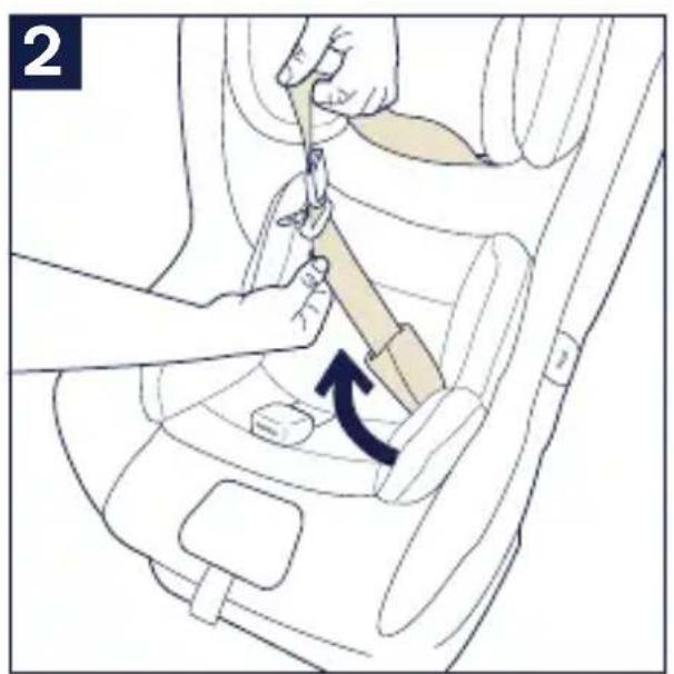 Nuna RAVA - To Install Infant Insert - 3