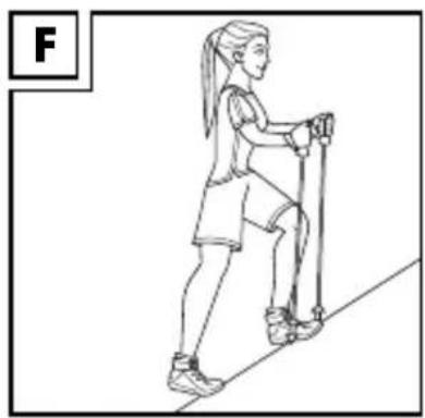 CRIVIT IAN 373915 - - Caminar en terrenos lisos (fig. C/D) - 3